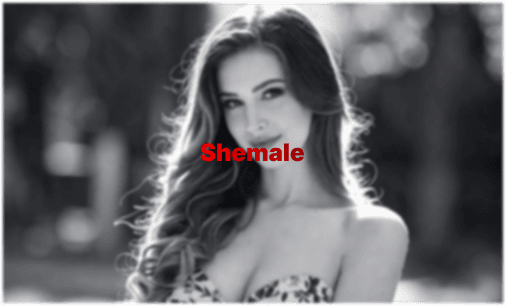 Shemale & Trans Porn: O Guia Completo do Espectador